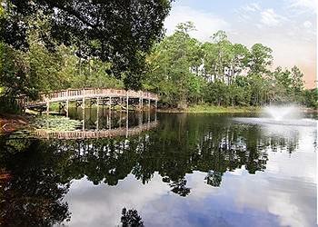 Relaxation Station ~ Seagrove Beach, FL