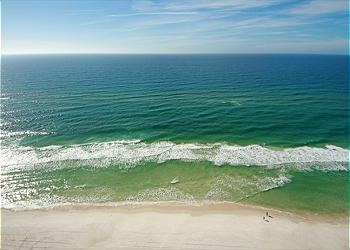 Blue Lupine ~ Blue Mountain Beach, FL