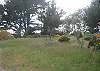 Large Yard for Fun and Relaxing