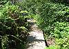 Another Private Creekside Boardwalk