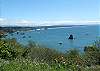 View from trail next to house.  Can take trail down to beach or along top of bluff to lighthouse and other beaches.  House has mostly wooded and creek views, with slight ocean views from some spots.