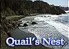 Quails Nest - Quaint & Cozy - Walk to Park & Beach 3 night Maximum