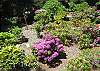 Private Garden in backc