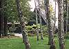 Wooded and perfectly landscaped. Well maintained yard.