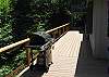 More deck & BBQ