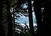 Surf Shack just above the beach! Great for two!