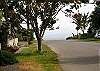 Ocean View from Front Yard