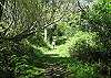 Beautiful trail down to beach - trail right out front door! Great place for wildlife viewing (seals, whales, birdlife, etc)