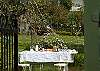 Lovely large yard - Perfect for a Picnic!