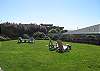 Really nice gardens, yard, and ocean views on the manicured grounds.  Fun space for entertaining, playing frisbee or with your kids or dog, or just relaxing in the hot tub.  Plenty of tables for a picnic too, with a big BBQ!