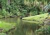 Koloa House rental - Exterior Photo