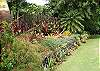 Koloa House rental - Exterior Photo
