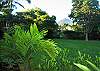 Kauai House rental - Exterior Photo - Lush Backyard