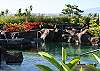 Waikoloa Beach Condominium rental - Exterior Photo - Pool