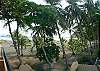 The beach seen from the solar at La Flor beachfront gated community on the North side of Jaco beach Costa Rica