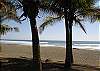 Hermosa beach (Playa Hermosa) as it is in front of Hermosa Palms, with plenty of shade from the palm trees.
