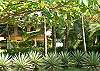 Casa de Somers vacation rental seen from Esterillos beach near Manuel Antonio