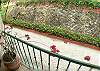  Townhouse rental - Interior Photo - View from balcony of Bedroom 3