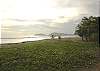 View of the beach and the natural vegetation growing on it, late in the afternoon, looking north just outside Casa Milagro vacation rental villa in Jaco, Costa Rica.