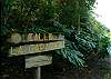  Townhouse rental - Exterior Photo - Street sign at Faro Escondido