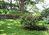  Cabin / Bungalow rental - Exterior Photo - Yard