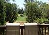 This picture was also taken from the back deck.