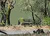 Easy access to deck and dock from easement road.  Park right at the waters edge.