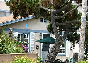 Jamaican Beach Cottage Front