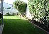 Back Yard-Thumbnail