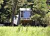 Tree House