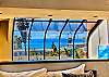 #357 - Windows to Windansea