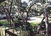 Surf Court 7 - Forest Beach Townhouse