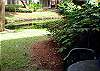 Springwood 97