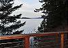 Whispering Cedars