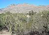 3 Bedroom with Stunning Mountain Views and Complete Upgrades
