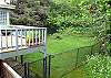 Second view - Fully fenced in large grassy backyard.