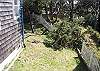 Side yard looking towards backyard.