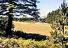 Beautiful view of the 9th hole of the golf course from the house and the back deck.