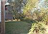 Large grassy backyard, great for the kids and pets!