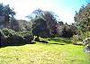 View of backyard looking south.