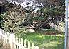 Grassy Backyard