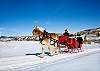 How about a sleigh ride?