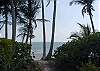 Beach View