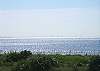 Beach View