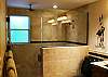 Master Bath Walk-in Shower