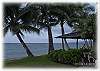 The Sand Dollar Cottage