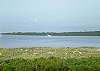 Watch the shrimp boats and the dolphins too!