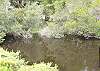 Enjoy abundant wildlife from your deck!