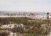This is the beach just a 2 minute walk from this house!! It's a great stretch of beach for the private homes