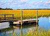 Listen to the oysters cluck as the tide recedes